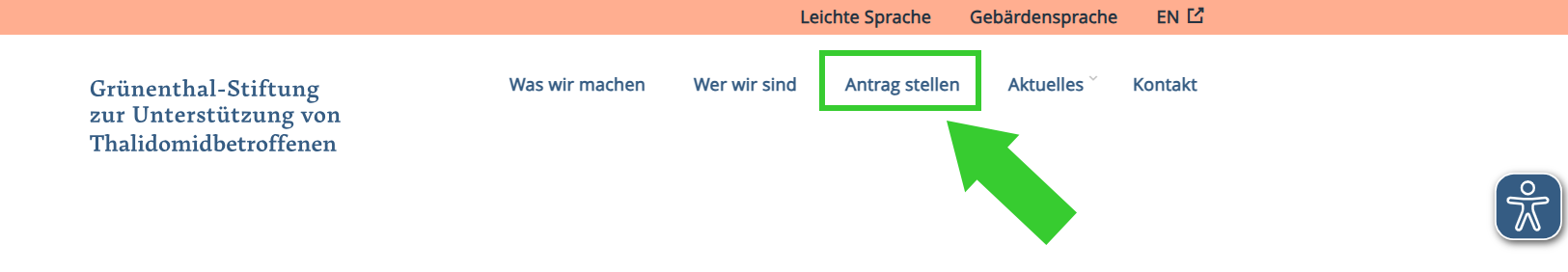 Website der Grünenthal-Stiftung Antrag erstellen