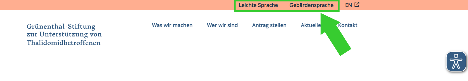 Website der Grünenthal-Stiftung Leichte Sprache
