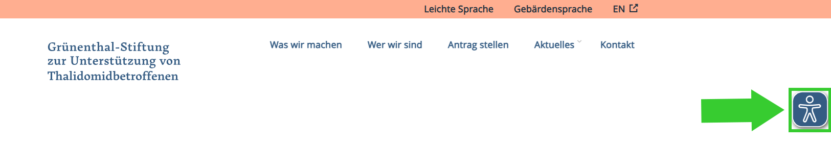 Website der Grünenthal-Stiftung Eye-Able