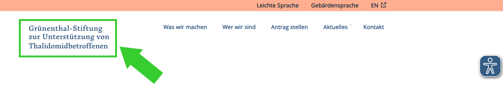 Website der Grünenthal-Stiftung Logo
