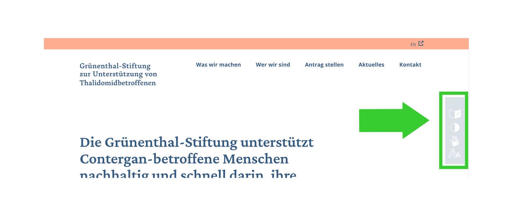 Website der Grünenthal-Stiftung barrierefreie Navigation